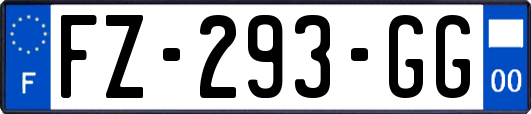 FZ-293-GG