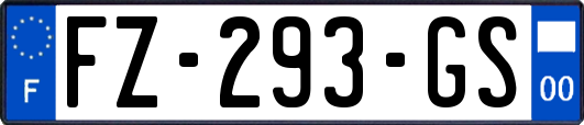 FZ-293-GS