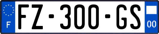 FZ-300-GS