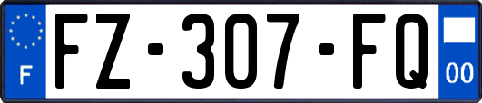 FZ-307-FQ