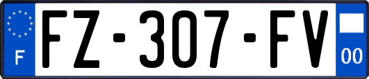 FZ-307-FV