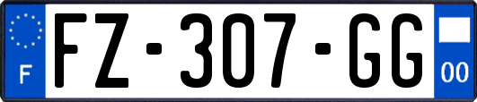 FZ-307-GG