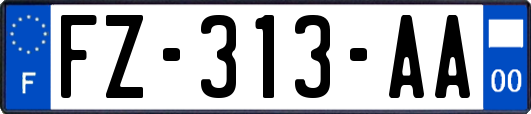 FZ-313-AA