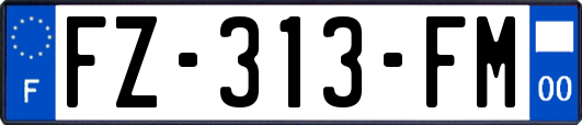 FZ-313-FM