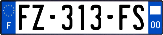 FZ-313-FS