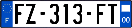 FZ-313-FT