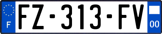 FZ-313-FV