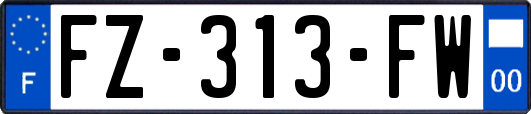 FZ-313-FW