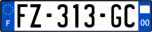 FZ-313-GC