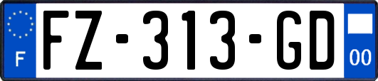 FZ-313-GD