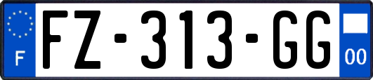 FZ-313-GG