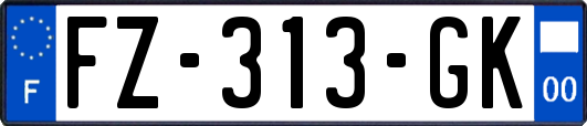 FZ-313-GK