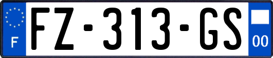 FZ-313-GS
