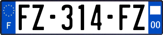 FZ-314-FZ