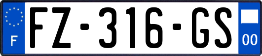 FZ-316-GS
