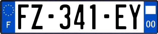 FZ-341-EY