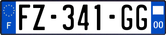 FZ-341-GG