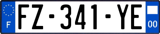FZ-341-YE