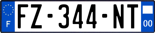 FZ-344-NT