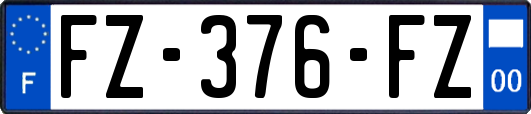FZ-376-FZ