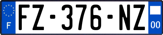 FZ-376-NZ