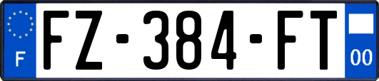 FZ-384-FT