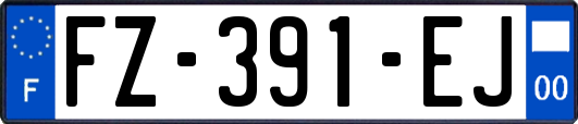 FZ-391-EJ