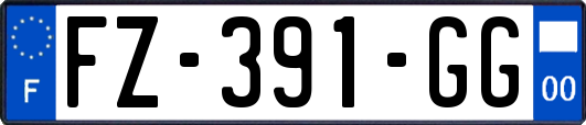 FZ-391-GG