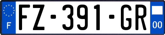 FZ-391-GR