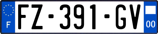 FZ-391-GV