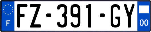 FZ-391-GY