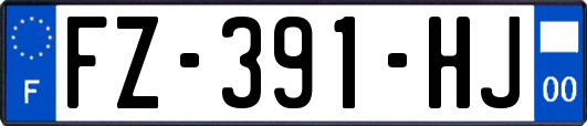 FZ-391-HJ