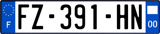FZ-391-HN