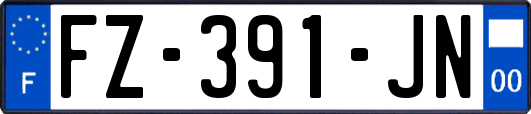 FZ-391-JN