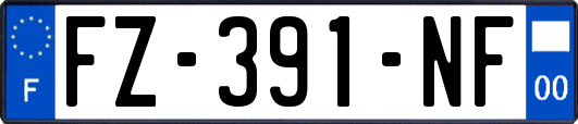 FZ-391-NF