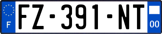 FZ-391-NT
