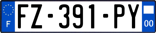 FZ-391-PY