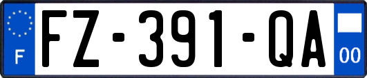 FZ-391-QA