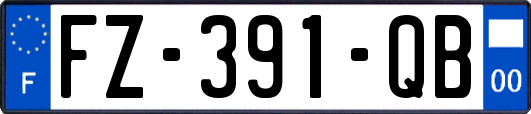 FZ-391-QB