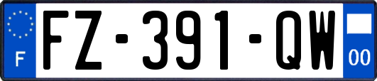FZ-391-QW