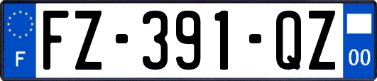 FZ-391-QZ