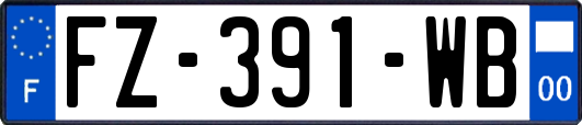 FZ-391-WB