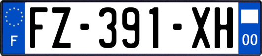 FZ-391-XH