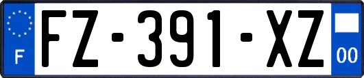 FZ-391-XZ
