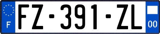 FZ-391-ZL