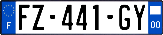 FZ-441-GY