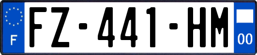FZ-441-HM