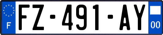 FZ-491-AY