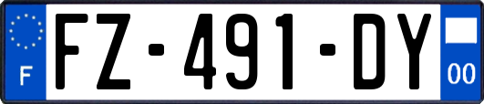FZ-491-DY
