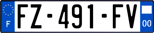 FZ-491-FV